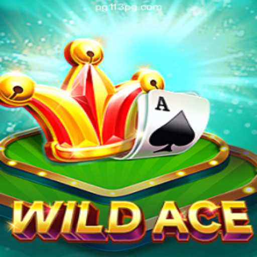 Exploring WildAce: The Game Revolutionizing Online Entertainment